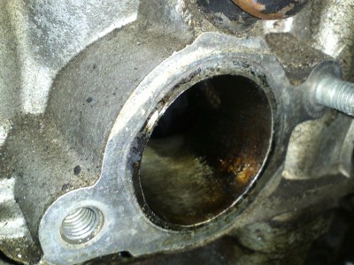 IMG477.jpg