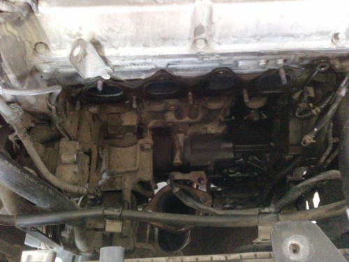 P1408_13-10-12.JPG