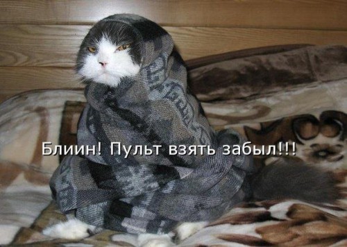jpa6hOiXHYU.jpg