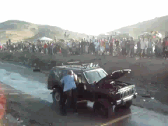 post-1137-1352457790[1].gif