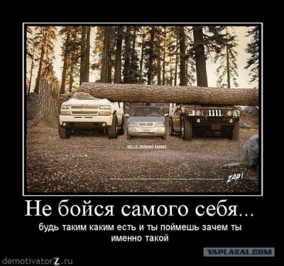 post-3-13432398308791.jpg