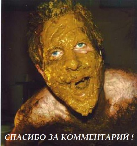 lico_v_govne_2.jpg