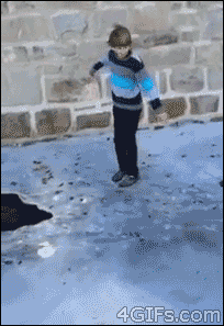 post-5215-1359965649[1].gif