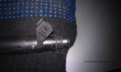 IMAG0248.jpg