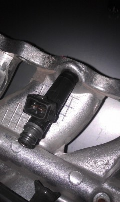 IMAG0252.jpg