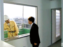 231.gif