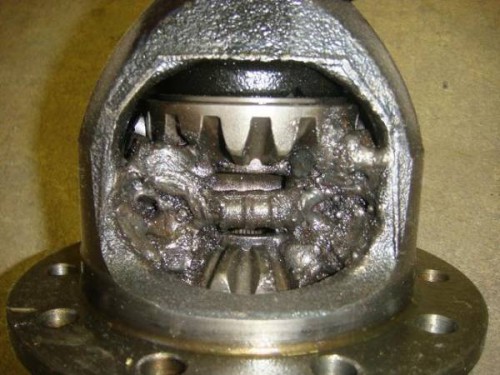 image.jpg