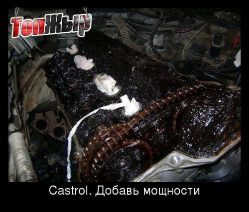 ТопЖир.jpg