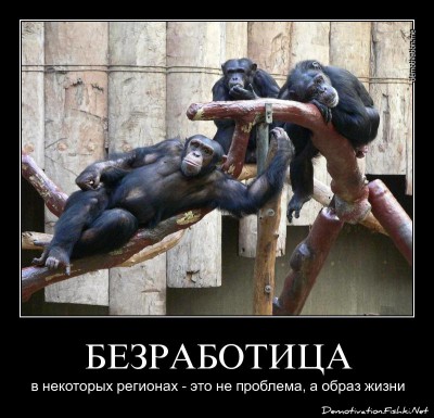 demotivator-0042.jpg