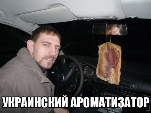 post-7475-1383893613.jpg