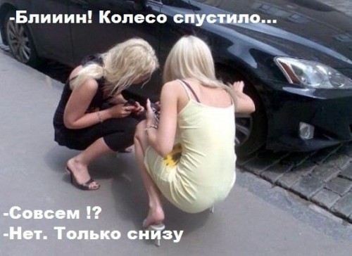 post-6080-1384196851.jpg