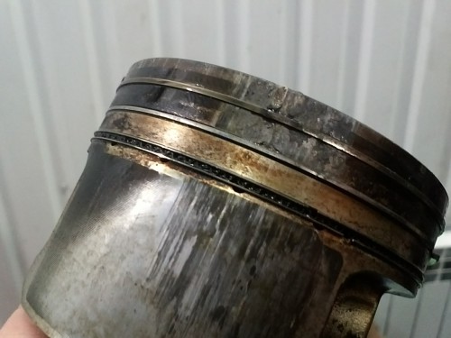 IMG040.jpg