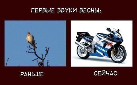 getImageCA8R4IFH.jpg