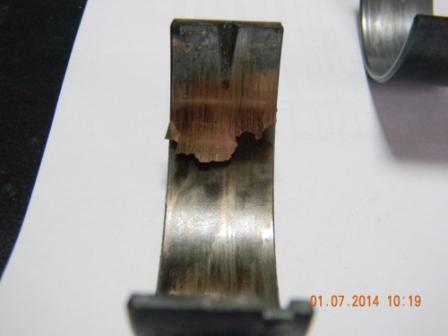 DSCN46455.JPG