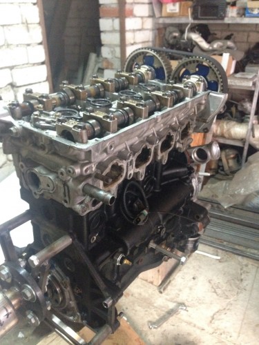 image1.jpg