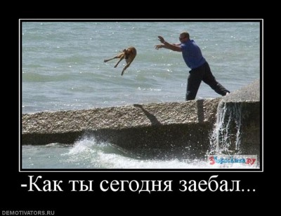 305118_-kak-tyi-segodnya-zaebal.jpg